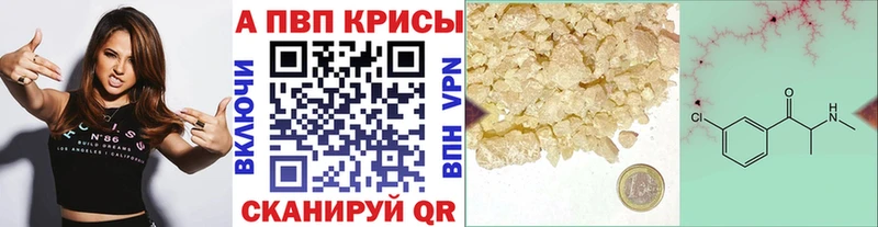 APVP СК  Кохма 