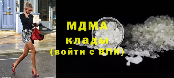 шишки Бородино