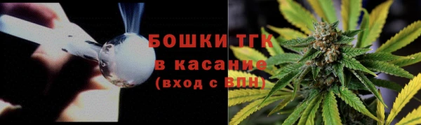 ECSTASY Богородск