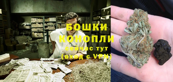 шишки Бородино